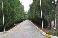 Zile'de Mezarlıklarda Temizlik Çalışması