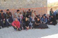 Başkale'de 43 Kaçak Göçmen Yakalandı