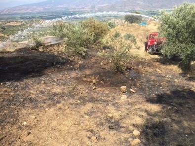 Bozdoğan'da Arazi Yangını