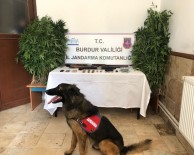 Burdur'da Jandarmadan Dedektör Köpekli Uyuşturucu Operasyonu