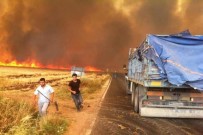 ORMAN YANGıNLARı - Çiftçiye 'Anız Yakmayın' Uyarısı