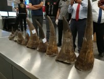 X-RAY - 12 milyon TL'lik gergedan boynuzu yakalandı