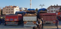 Kastamonu'dan 8 Tır Dolusu Kurbanlık, İstanbul'a Gönderildi
