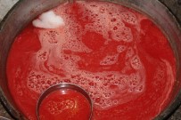 Kilis'te Salça Telaşı Başladı