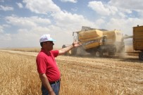 Malazgirt'te Biçerdöverler Denetlendi