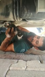 Otomobilin Motor Kısmına Sıkışan Kediyi Vatandaş Kurtardı