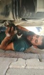 YAVRU KEDİ - Otomobilin Motor Kısmına Sıkışan Kediyi Vatandaş Kurtardı