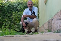 (Özel) Vanlı İş Adamının Hayvan Sevgisi