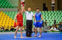 MEHMET DEMIRCI - Wushu Şampiyonasında Dünya İkincisi Oldu