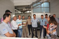 KURBANLIK HAYVAN - Antalya'da Kurban Kesim Kursu