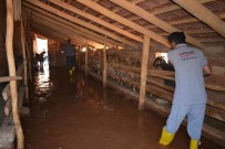 SEL FELAKETİ - Elmalı'daki Selin Ardından