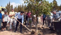 TÜRKIYE ORMANCıLAR DERNEĞI - Kepez Belediyesi'nden Dokuma Botanik'e Barış Fidanı