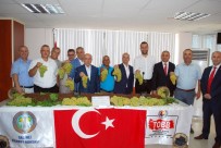 AÇIK ARTTIRMA - Salihli'de Sezonun İlk Üzümü Kilosu 170 TL'den Satıldı