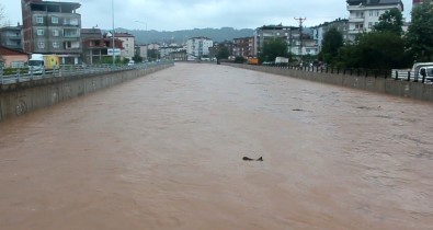 Sel Bu Kez Ünye'yi Vurdu