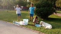 LEVENT PIRIŞTINA - Su Satarak Hayvanlara Mama Alan Miniklere Piriştina'dan Destek