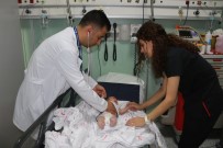 DEMOKRASİ PARKI - Bebeğini süs havuzunda boğmak istedi!