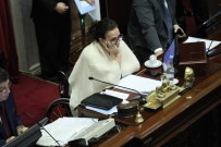 ARJANTIN - Arjantin Senatosundan Kürtaj Yasasına Ret