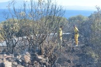 İTFAİYE ARACI - Çanakkale'de Makilik Yangını