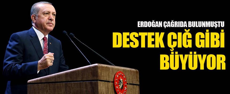 Erdoğan'ın döviz çağrısına destek büyüyor