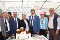 BAL FESTIVALI - Ardahan'da Bal Festivali Coşkusu