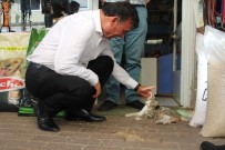 HAYVAN SEVERLER - Başkan Akın'dan Sokak Hayvanları İçin Proje