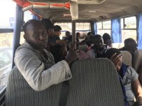 KAÇAK MÜLTECİ - Çanakkale'de 44 Mülteci Yakalandı
