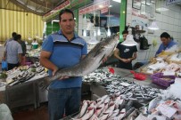 1 EYLÜL - Denizli'de Balıklar Tezgahlardaki Yerini Aldı