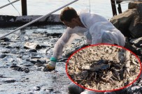 DENİZ CANLILARI - Foça'da Denizdeki Kirlilik Havadan Görüntülendi