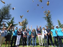 Doğaya Geri Dönüş