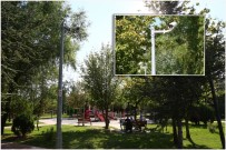 SÜLEYMANIYE - Keçiören'de Oyun Parkları Daha Güvenli