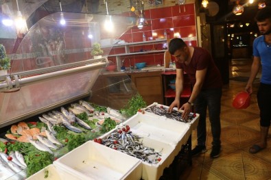 Siirt'te Av Yasağı Kalktı Balık Çeşitleri Arttı