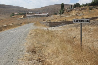 Sivas'ta Şarbondan Ölümler Sürüyor