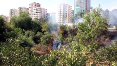 Adana'da Koruluk Alanda Yangın Çıktı