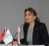 SAĞLIK RİSKİ - Gaziantep'te Ayçiçek Yağına Soya Karıştıran Üreticiye Verilen Hapis Cezası Emsal Oldu