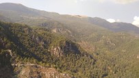 AMANOS DAĞI - Hatay'da 2 Hektarlık Ormanlık Alan Yandı