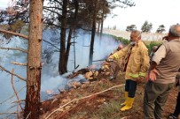 ORMAN İŞLETME MÜDÜRÜ - Yıldırım Düşen Ormanda Yangın Çıktı