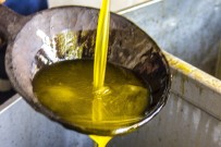 ZEYTİN YAĞI - Zeytinciden Ekonomiye Destek