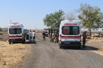 DICLE ÜNIVERSITESI - Diyarbakır'da Arazi Kavgası Açıklaması 4 Yaralı