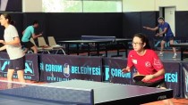 Masa Tenisinde Avrupa Şampiyonası Hazırlıkları