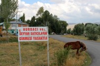 SEYYAR SATICILAR - Muhtardan Seçim Vaadi Tabela