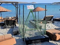 DENİZ KAPLUMBAĞALARI - Çeşme'de İlk Defa Doğan Caretta Yavruları Denizle Buluştu