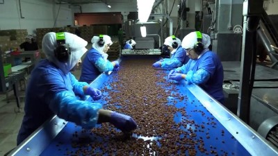 İngiltere'ye 'Okul Üzümü' İhracatı