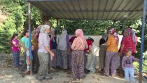 İzmir'in 'Susuz Mahallesinde' eşeklerle su taşınıyor Haberi