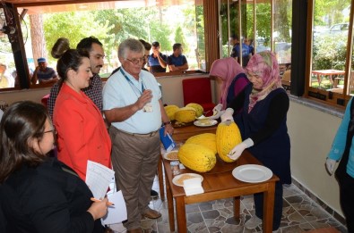 Kırkağaç'ın En Güzel Kavunu Seçildi