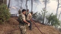 MUSA SARı - Söndürme Çalışmaları Hem Havadan Hem Karadan Sürüyor