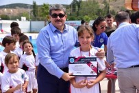 PELITÖZÜ - Yaz Spor Okulları'na Katılan 435 Öğrenci Sertifikasını Aldı