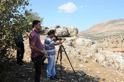 Adıyaman'ın Biyolojik Envanteri Çıkartıldı