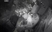 SİGARA PAKETİ - Bakkal Soyan Maskeli Hırsızlar Kamerada