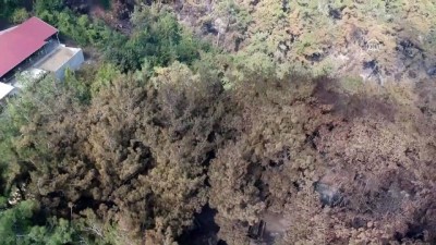 Hatay'daki Orman Yangınının Etkileri Havadan Görüntülendi