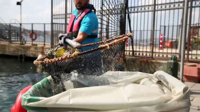 İstanbul'un Kıyılarından 12 Bin Metreküp Çöp Toplandı